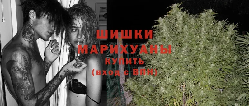 Шишки марихуана SATIVA & INDICA  где продают наркотики  Красногорск 